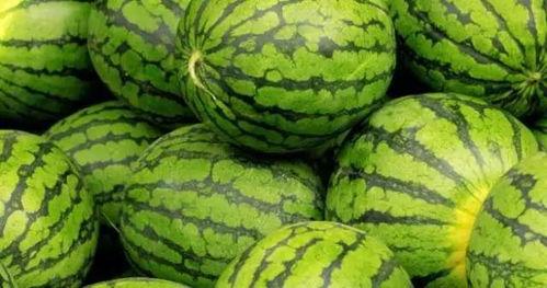 内蒙古网红吃瓜事件视频,揭秘网络舆论背后的真相  第2张