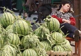 内蒙古网红吃瓜事件视频,揭秘网络舆论背后的真相  第3张