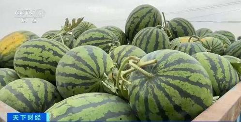 629吃瓜网,网络舆论场的新势力崛起  第2张