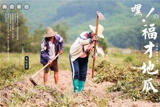 恩平网红吃瓜群众,揭秘网络红人的幕后故事  第3张