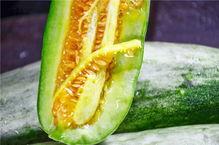 延安网红吃瓜,揭秘网红圈背后的故事  第2张