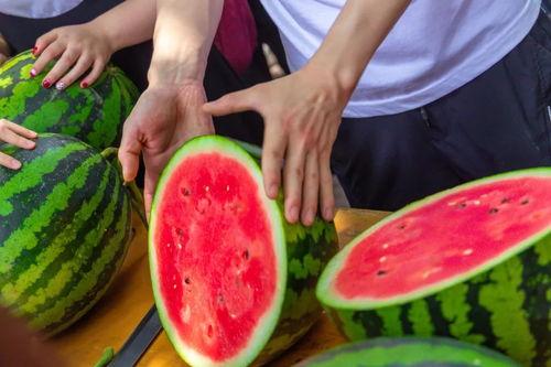 高校吃瓜网盘,揭秘校园热点，畅享青春资讯盛宴  第2张