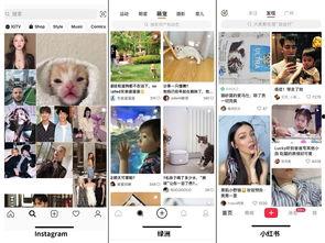 吃瓜社官网进入,带你领略网络娱乐新风向  第2张