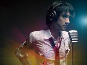 吃瓜网红王力宏简介视频,吃瓜网红背后的音乐传奇