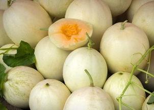 网红吃白兰瓜是真的吗,真相还是炒作？  第2张