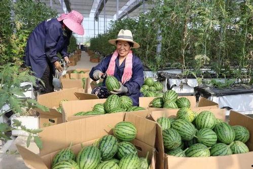 吃瓜官网中心,带你领略美食世界的无限魅力  第2张