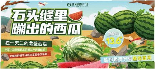 每日大赛吃瓜网91  第3张