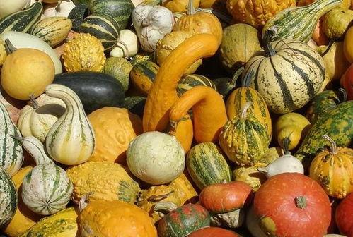 十二吃瓜网  第3张