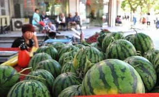 亳州网红吃瓜群微信,揭秘网络社交圈的趣味与争议  第2张