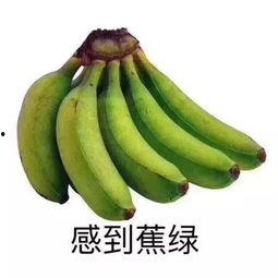 亳州网红吃瓜群微信,揭秘网络社交圈的趣味与争议  第3张