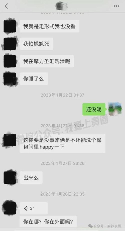 网红聊天记录吃瓜嫂子,吃瓜嫂子揭秘娱乐圈幕后真相  第1张