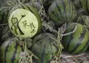 滨州吃瓜网红是谁啊视频  第2张