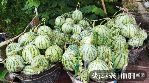 滨州吃瓜网红是谁啊视频  第3张