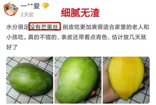 全网都在吃小瓜的网红,揭秘“小瓜”网红背后的故事